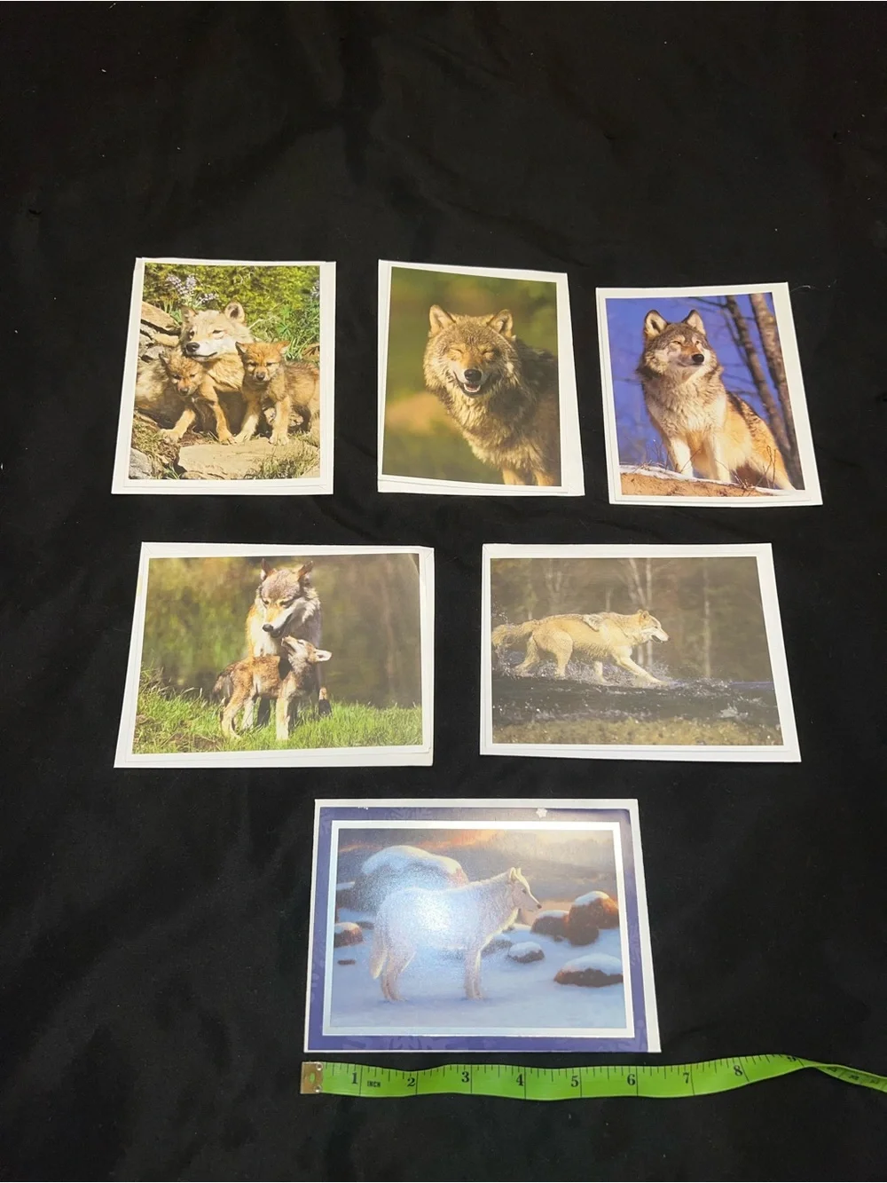 Wolf Greeting Card Bundle